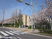 高浜中学校まで400m