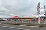 周辺：クスリのアオキ田沼店まで743m