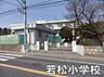 周辺：千葉市立若松小学校まで769m
