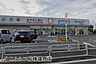 周辺：ウエルシア船橋藤原店まで1261m