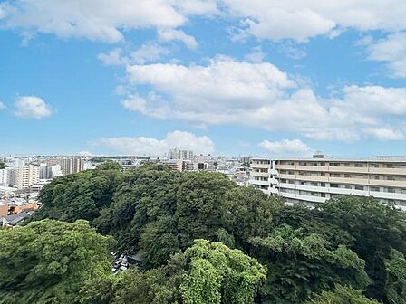 現地からの眺望