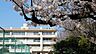 周辺：朝霞市立朝霞第四中学校まで392m