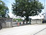 周辺：あきる野市立東中学校まで1300m