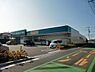 周辺：ドラッグセイムス桜木店まで658m