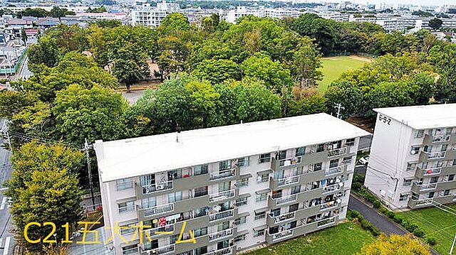 その他 小金原住宅1号棟 4階/-