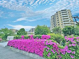 ビィオルド戸田公園