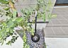 外観：植栽