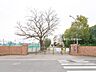 周辺：ふじみ野市立大井東中学校 960m