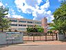 周辺：新座市立第四中学校 1250m