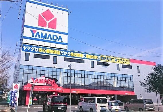 ヤマダ電機テッ...
