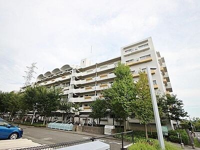 外観 外観