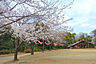 周辺：綱島公園まで720m