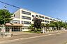 周辺：新琴似北中学校まで1420m