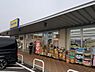 周辺：マツモトキヨシミノリア稲毛海岸店まで666m