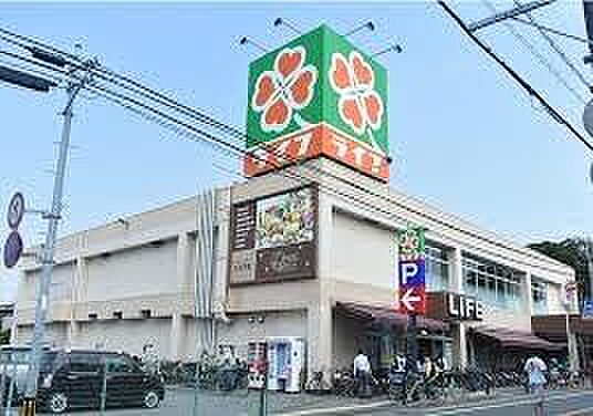周辺を拡大表示