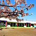 周辺：さつきが丘幼稚園まで449m