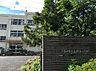 周辺：市川市立南新浜小学校まで1082m
