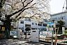 周辺：市川市立大柏小学校まで1100m