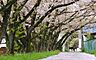 周辺：越生町運動公園まで400m