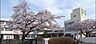 周辺：毛呂山町立泉野小学校まで1574m