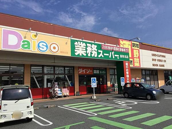 画像14:業務スーパーFC鳥取北店まで1160m
