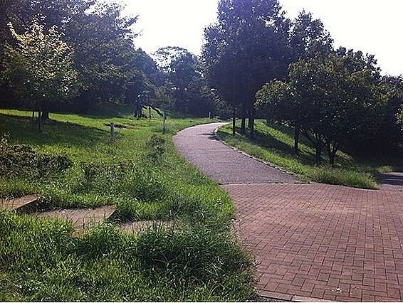 片倉自然公園ま...