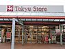 周辺：東急ストア市ヶ尾店まで1300m、東急ストア市ヶ尾店