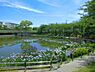 周辺：白鷺公園まで1410m