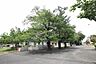 周辺：水戸市立堀原小学校まで1100m、お子さまを育む学校が身近にあります。お子さまの通学も安心です。