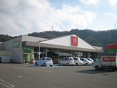 周辺：松源内原店まで894m