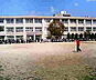 周辺：和歌山市立新南小学校まで1081m