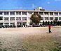 周辺：和歌山市立新南小学校まで986m
