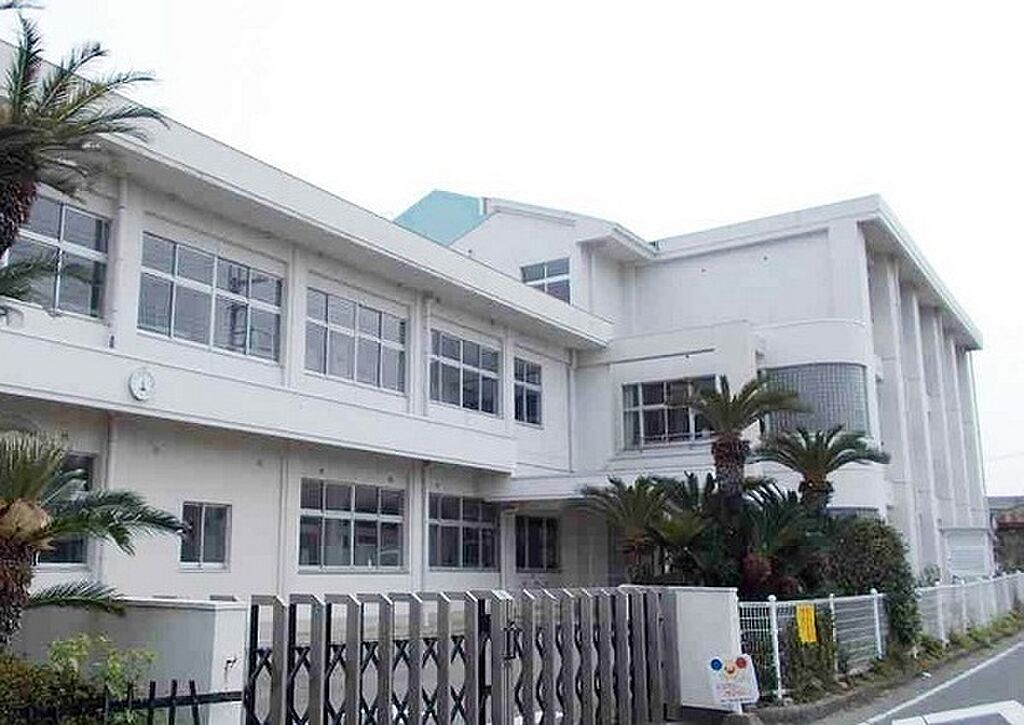 Image 7