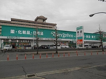 エバグリーンプラス広瀬店まで1293m