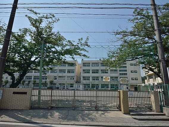 横浜市立師岡小...