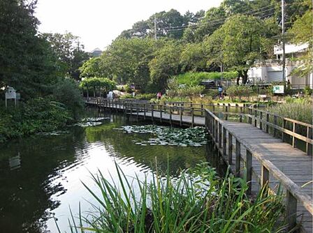 篠原園地　1100m　駅チカながら自然豊かな大きな公園。穴場スポットなので遊具広場ではのんびり遊べます。 