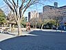 周辺：神奈川公園　240m　春には桜が楽しめ、散歩道もありベンチでランチも気持ちがいいかも。 
