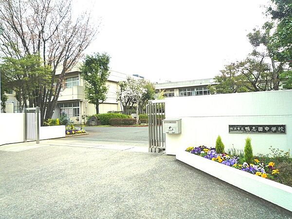 周辺を拡大表示