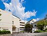 周辺：横浜市立桂小学校　450m　徒歩6分。小学校が近いのは子育てファミリーにもおすすめのポイント。 
