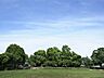 周辺：洋光台北公園　1600m　緑の多い園内は小さな雑木林を思わせる雰囲気あり、散策コースとしても。滑り台やブランコなど遊具もあり。 