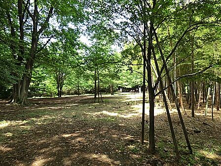 日吉の丘公園 500m 日吉エリアを一望できる小高い丘の上にある公園。森林浴や散策で四季折々の自然を感じられます。