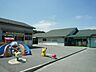 周辺：東幼稚園　600m　古くから地域に馴染んでいる幼稚園。体操や知育など課外教室が盛んです。 