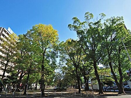大通り公園 400m 波のイメージのタイルのモザイクや流氷のイメージのオブジェがあり、自分流で楽しめる公園です。