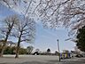 周辺：川上公園　400m　広い広場や遊具のある見晴らしの良い公園。春には桜の下でお花見ができます。 