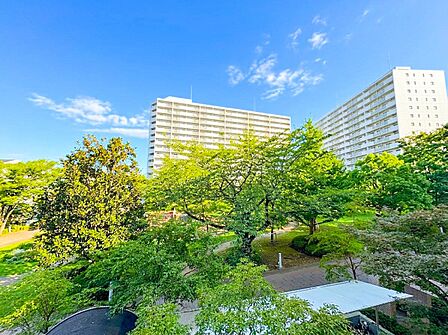 植栽の位置や開放的なエクステリアも含めて美しくトータルにデザインされております。