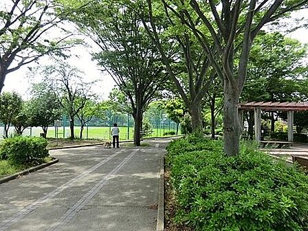 六浦大道公園　750m　サッカーや野球のできるグラウンドがあります。翠溢れる街のオアシスとして、近隣の方に愛されています。 