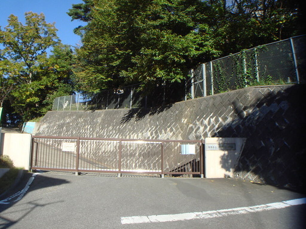 Image 8