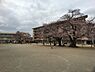 周辺：土浦市立真鍋小学校まで600m