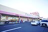 周辺：フィールネットワーク店まで732m、フィールネットワーク店まで732m(徒歩約10分)
