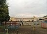 周辺：白岡市立篠津小学校まで560m